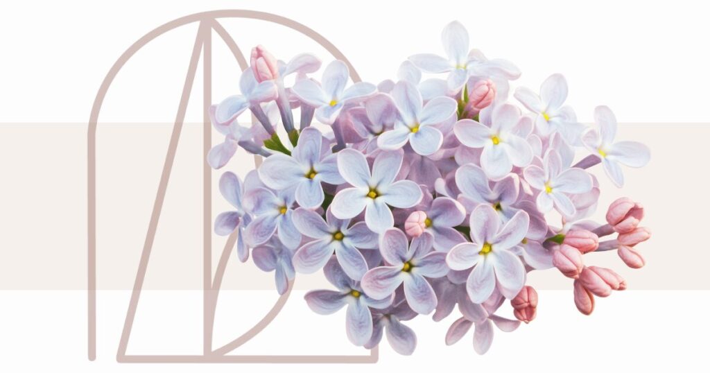 OGP ogimage_ライラック皮膚科